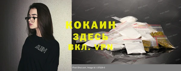 соль ск Абаза