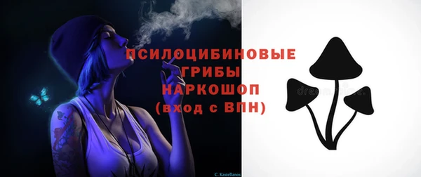 соль ск Нея